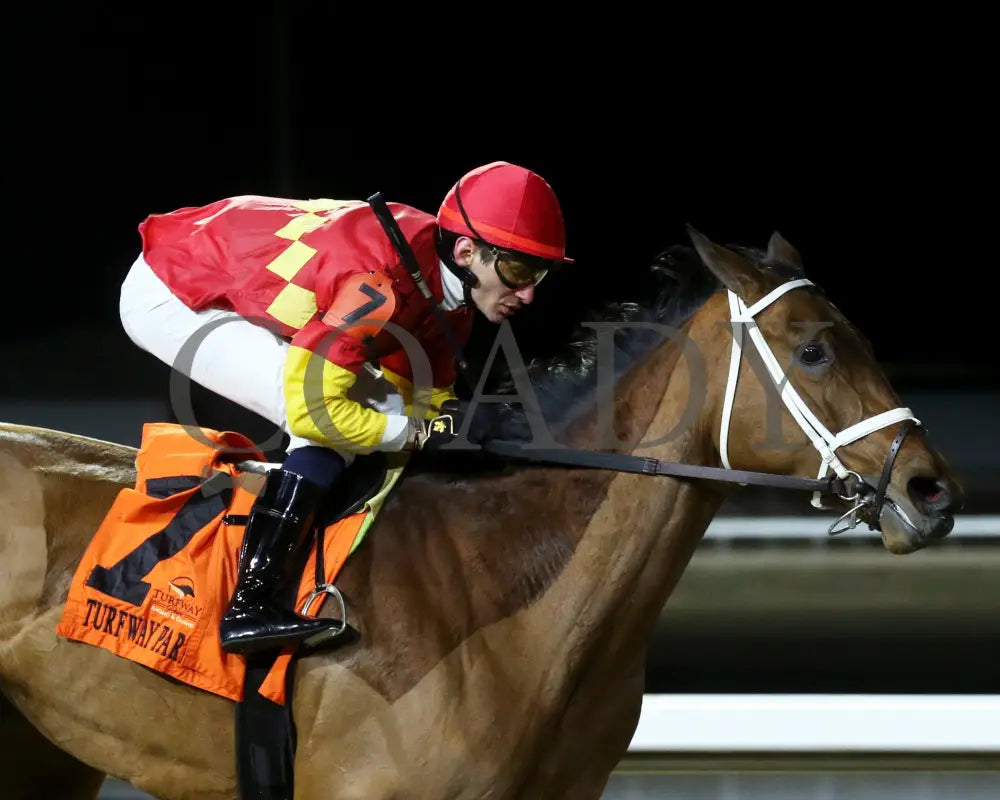 Chop - The Wintergreen 38Th Running 02-24-24 R07 Tp Finish 03 Turfway Park