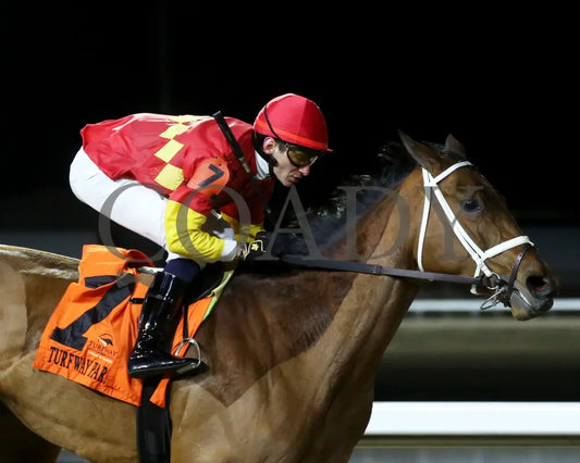 Chop - The Wintergreen 38Th Running 02-24-24 R07 Tp Finish 03 Turfway Park