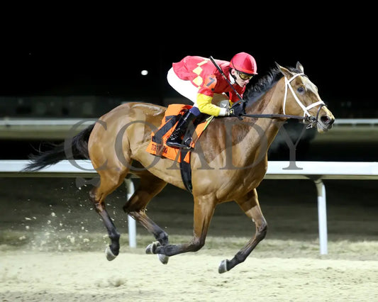 Chop - The Wintergreen 38Th Running 02-24-24 R07 Tp Finish 02 Turfway Park