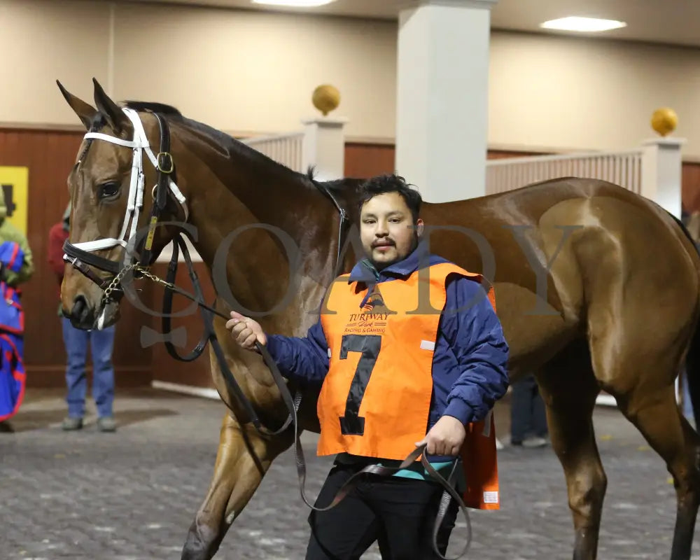 Chop - The Wintergreen 38Th Running 02-24-24 R07 Tp Paddock 03 Turfway Park