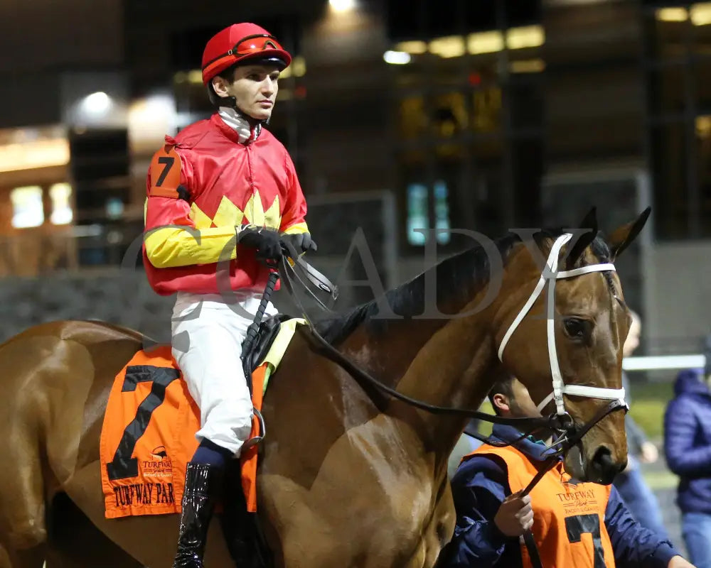 Chop - The Wintergreen 38Th Running 02-24-24 R07 Tp Paddock 02 Turfway Park
