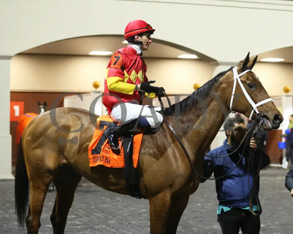 Chop - The Wintergreen 38Th Running 02-24-24 R07 Tp Post Race 01 Turfway Park