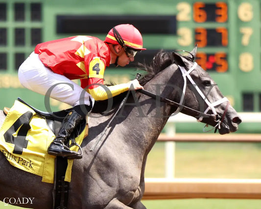 CHOPSTICKS - The Ellis Park Debutante - 08-10-25 - R04 - ELP - Tight Finish 01 Ellis Park