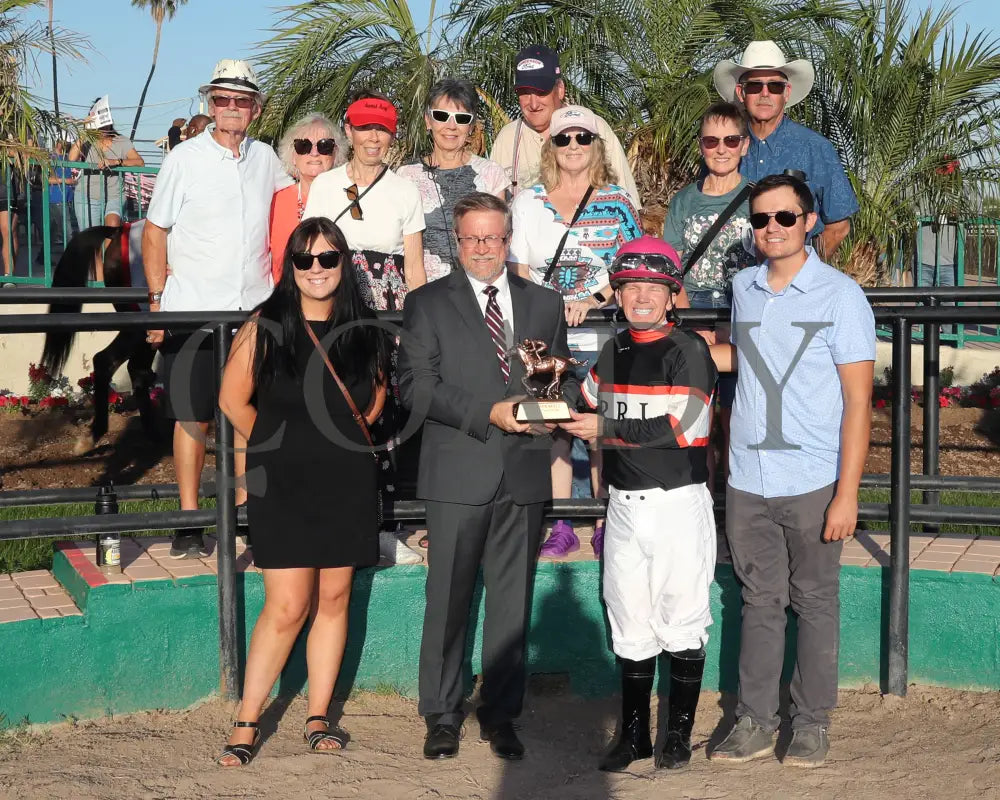 CHUCKANUT BAY - Hank Mills Jr Overnight Handicap - 11-10-25 - R07 - Turf Paradise - Presentation Turf Paradise