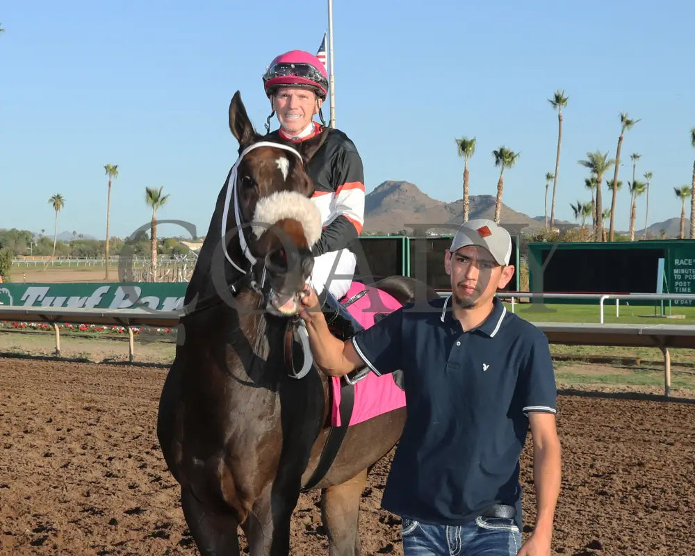CHUCKANUT BAY - Hank Mills Jr Overnight Handicap - 11-10-25 - R07 - Turf Paradise - Return Shot Turf Paradise