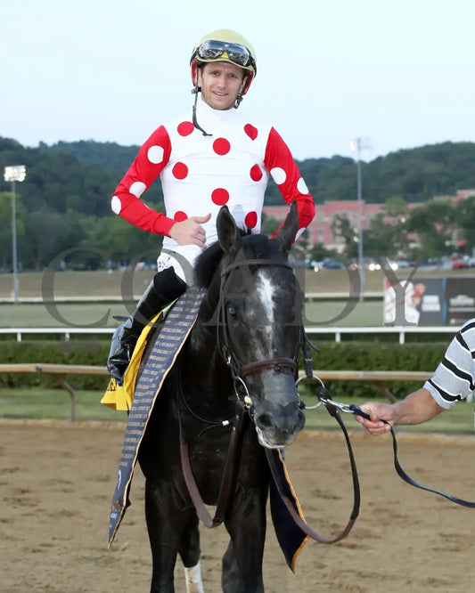 CHUNK OF GOLD - The West Virginia Derby G3 - 08-03-25 - R08 - MNR - Come Back 04 Mountaineer Park