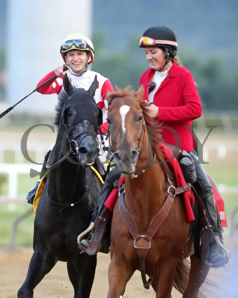 CHUNK OF GOLD - The West Virginia Derby G3 - 08-03-25 - R08 - MNR - Come Back 03 Mountaineer Park