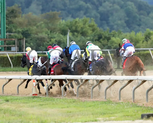 CHUNK OF GOLD - The West Virginia Derby G3 - 08-03-25 - R08 - MNR - First Turn 01 Mountaineer Park