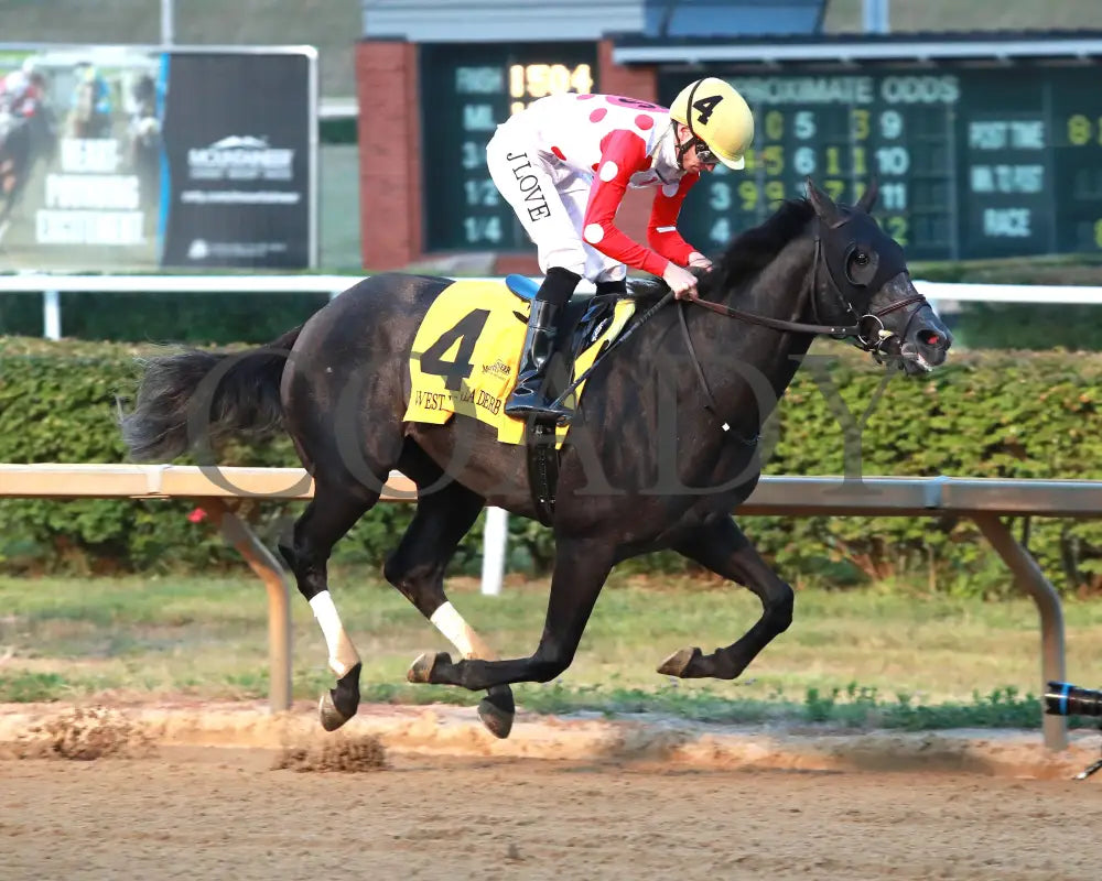 CHUNK OF GOLD - The West Virginia Derby G3 - 08-03-25 - R08 - MNR - Gallop Out 01 Mountaineer Park