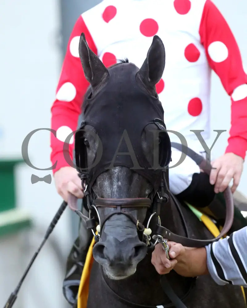 CHUNK OF GOLD - The West Virginia Derby G3 - 08-03-25 - R08 - MNR - Post Parade 01 Mountaineer Park