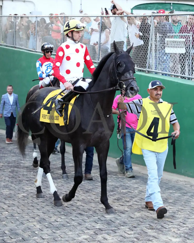 CHUNK OF GOLD - The West Virginia Derby G3 - 08-03-25 - R08 - MNR - Post Parade 02 Mountaineer Park