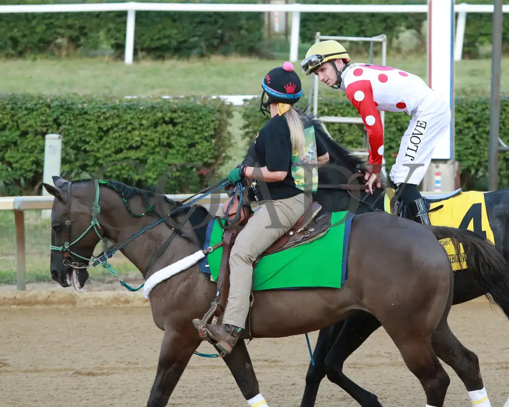 CHUNK OF GOLD - The West Virginia Derby G3 - 08-03-25 - R08 - MNR - Post Parade 04 Mountaineer Park