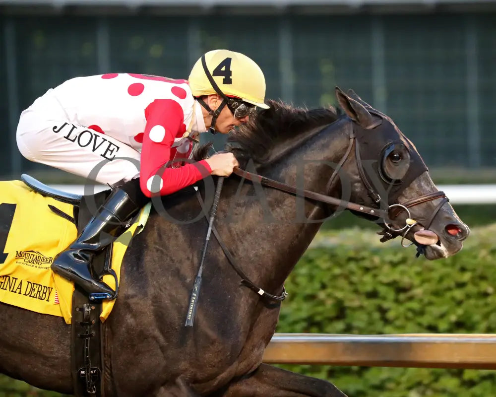 CHUNK OF GOLD - The West Virginia Derby G3 - 08-03-25 - R08 - MNR - Tight Finish 01 Mountaineer Park
