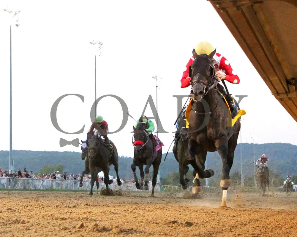 CHUNK OF GOLD - The West Virginia Derby G3 - 08-03-25 - R08 - MNR - Under Rail 01 Mountaineer Park