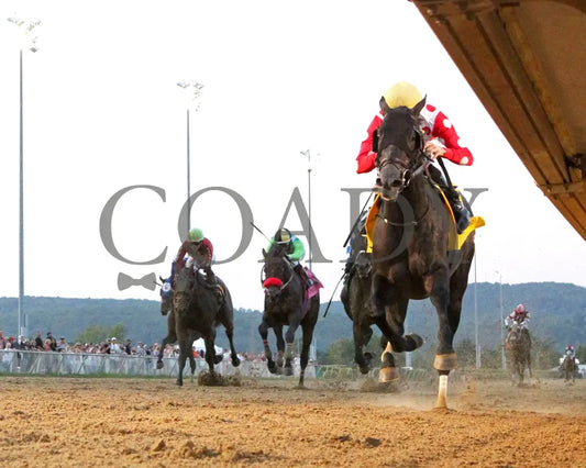 CHUNK OF GOLD - The West Virginia Derby G3 - 08-03-25 - R08 - MNR - Under Rail 01 Mountaineer Park