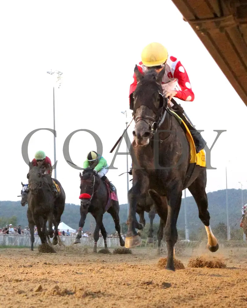 CHUNK OF GOLD - The West Virginia Derby G3 - 08-03-25 - R08 - MNR - Under Rail 02 Mountaineer Park