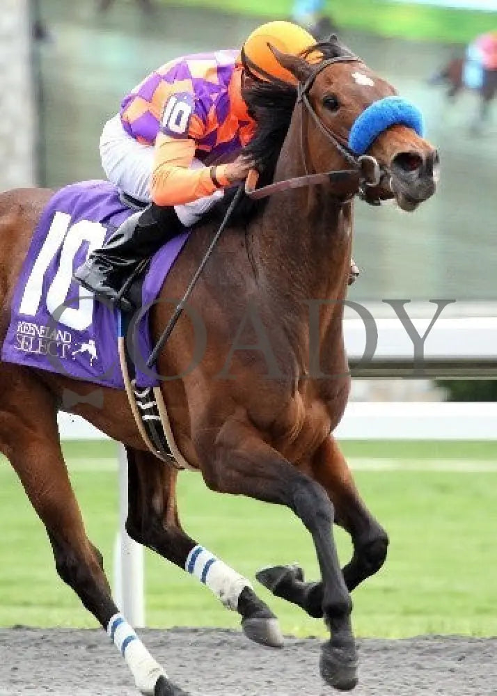 Ciao Bella Luna - 041413 Race 08 Kee Fin2 Keeneland