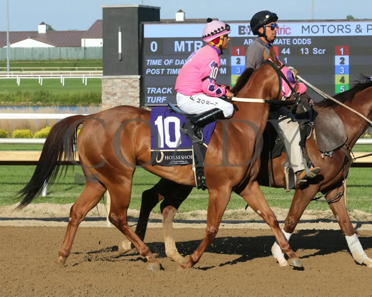 CIGARONTHEBEACH Julie Veltman Overnight Stakes 08 28 25 R09 Horseshoe Indiana Post Parade 01 Sammantha Pagels Indiana