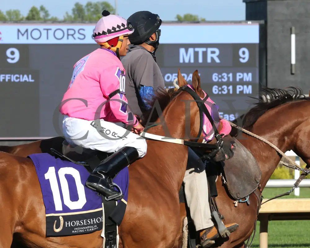 CIGARONTHEBEACH Julie Veltman Overnight Stakes 08 28 25 R09 Horseshoe Indiana Post Parade 02 Sammantha Pagels Indiana