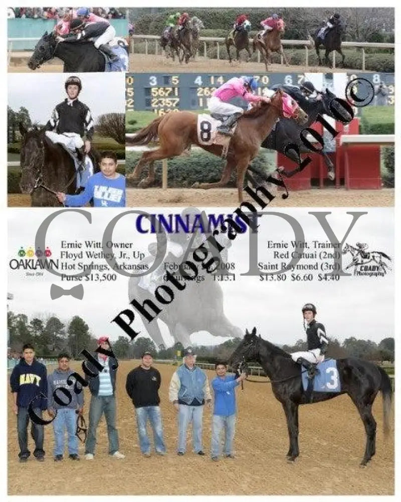 Cinnamist - 2 24 2008 Oaklawn Park