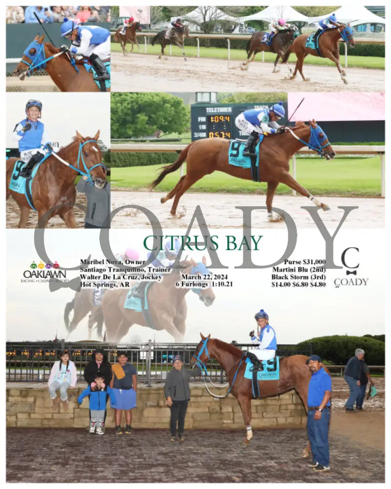 Citrus Bay - 032224 Race 10 Op Oaklawn Park