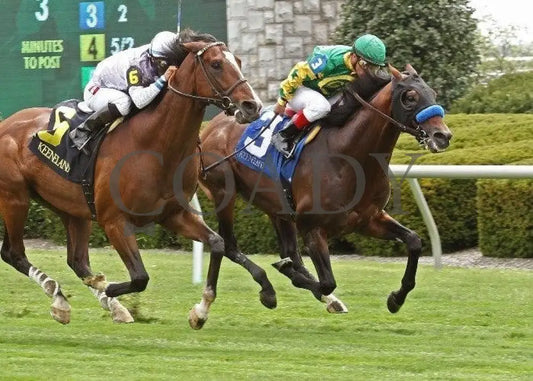 Citrus Kid - Stretch The Runnymede Julep Cup Keeneland