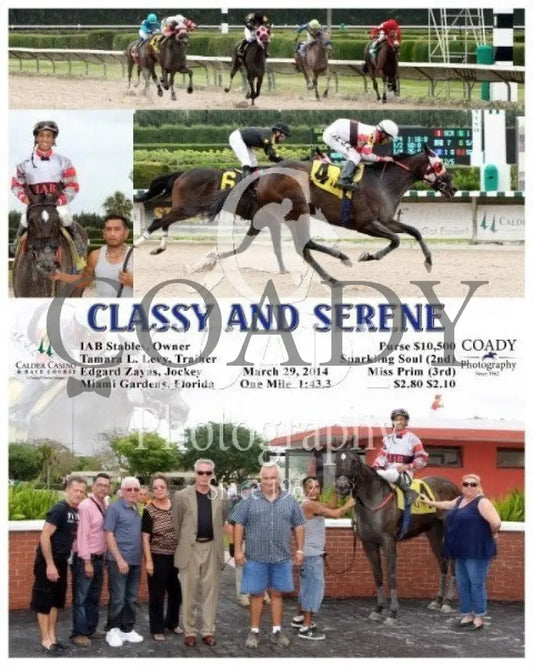 Classy And Serene - 032914 Race 04 Crc Calder Course