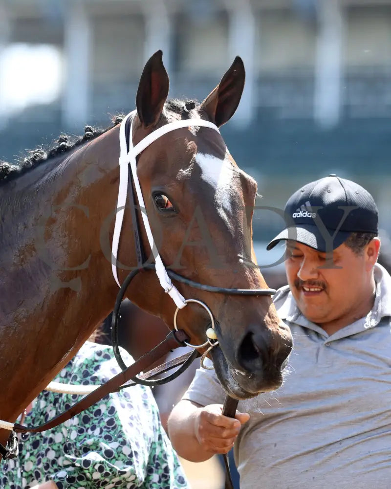 Clearly Unhinged - 05-27-24 R08 Cd Come Back 03 Churchill Downs
