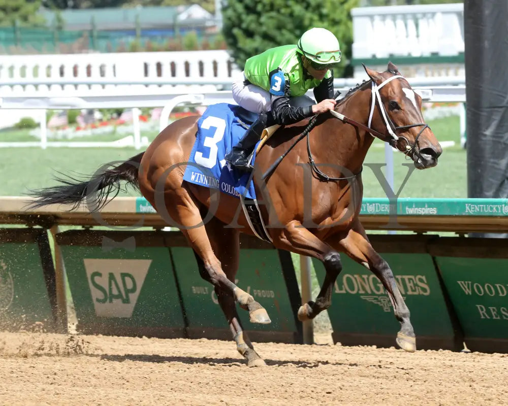Clearly Unhinged - 05-27-24 R08 Cd Finish 02 Churchill Downs