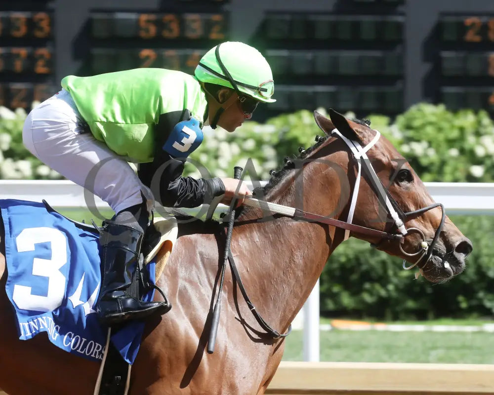 Clearly Unhinged - 05-27-24 R08 Cd Gallop Out 01 Churchill Downs