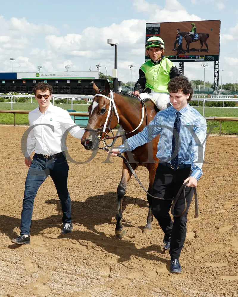 Clearly Unhinged - 05-27-24 R08 Cd Walk In 01 Churchill Downs