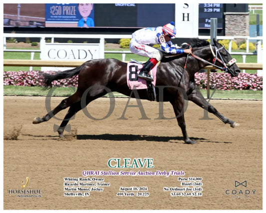 Cleave - Qhrai Stallion Service Auction Derby Trials 08-10-24 R11 Ind Action Indiana Grand