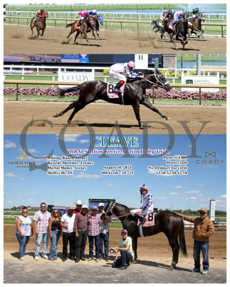 Cleave - Qhrai Stallion Service Auction Derby Trials 08-10-24 R11 Ind Indiana Grand