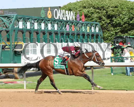 CLEVER AGAIN - 033025 - Race 07 - OP - Finish 02 Oaklawn Park