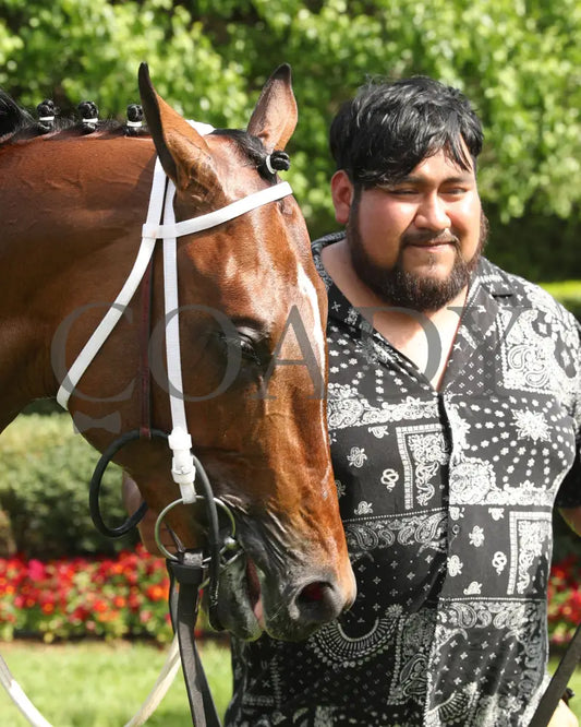CLEVER AGAIN - 033025 - Race 07 - OP - Head Shot 01 Oaklawn Park