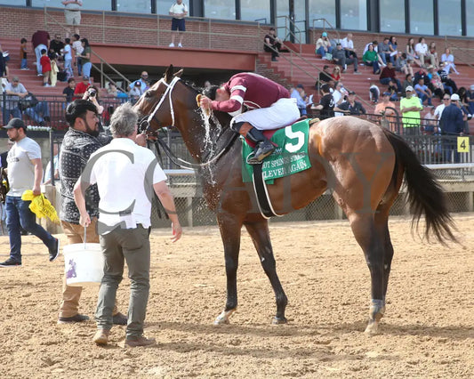 CLEVER AGAIN - 033025 - Race 07 - OP - Post Race 01 Oaklawn Park
