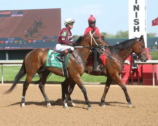 CLEVER AGAIN - 033025 - Race 07 - OP - Post Parade 01 Oaklawn Park