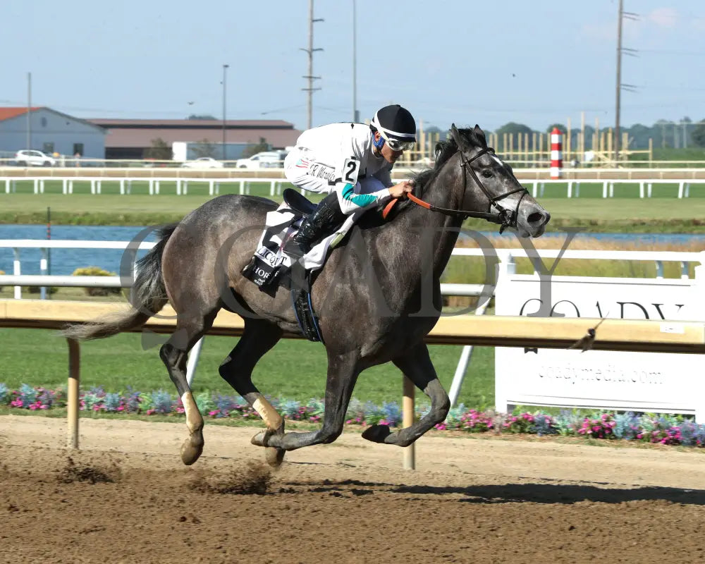 CLICQUOT - Daily Racing Form Indiana Oaks - G3 - 07-05-25 - R11 - Horseshoe Indiana - Finish 02 - Ashleigh Schlitt