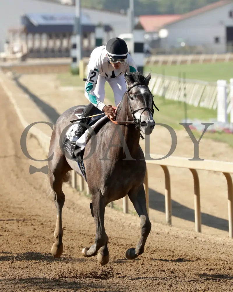 CLICQUOT - Daily Racing Form Indiana Oaks - G3 - 07-05-25 - R11 - Horseshoe Indiana - Gallop Out 02 - Kurtis Coady