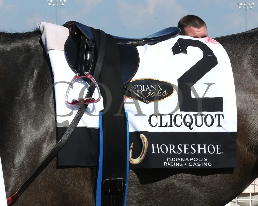 CLICQUOT - Daily Racing Form Indiana Oaks - G3 - 07-05-25 - R11 - Horseshoe Indiana - Paddock 02 - Ashleigh Schlitt