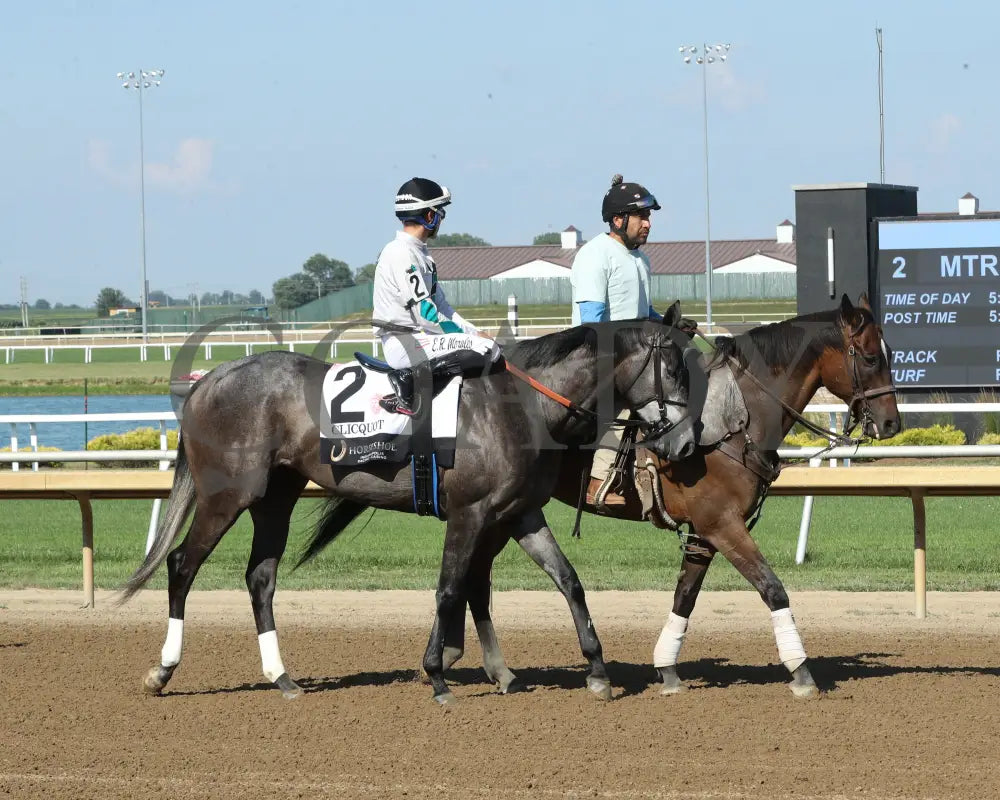 CLICQUOT - Daily Racing Form Indiana Oaks - G3 - 07-05-25 - R11 - Horseshoe Indiana - Post Parade 02 - Ashleigh Schlitt