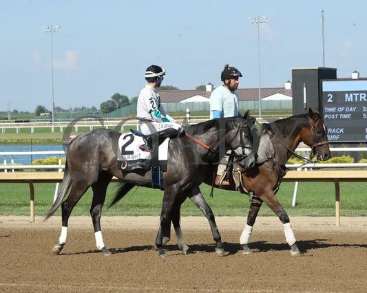 CLICQUOT - Daily Racing Form Indiana Oaks - G3 - 07-05-25 - R11 - Horseshoe Indiana - Post Parade 02 - Ashleigh Schlitt