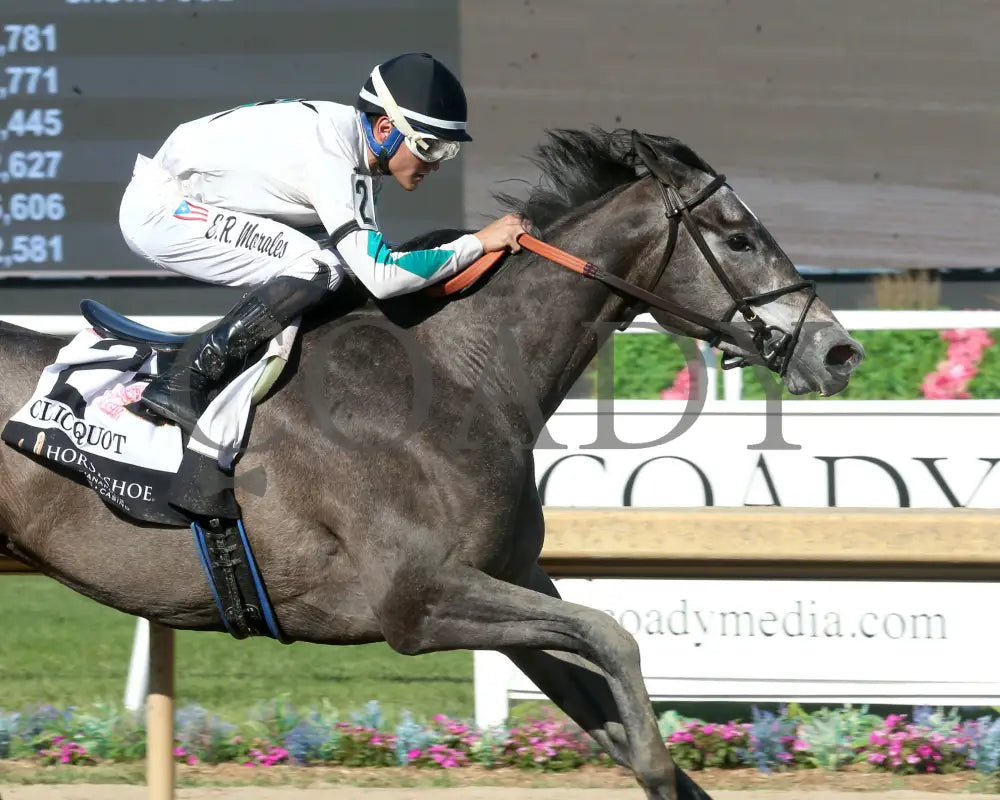CLICQUOT - Daily Racing Form Indiana Oaks - G3 - 07-05-25 - R11 - Horseshoe Indiana - Tight Finish 01 - Eli Davis