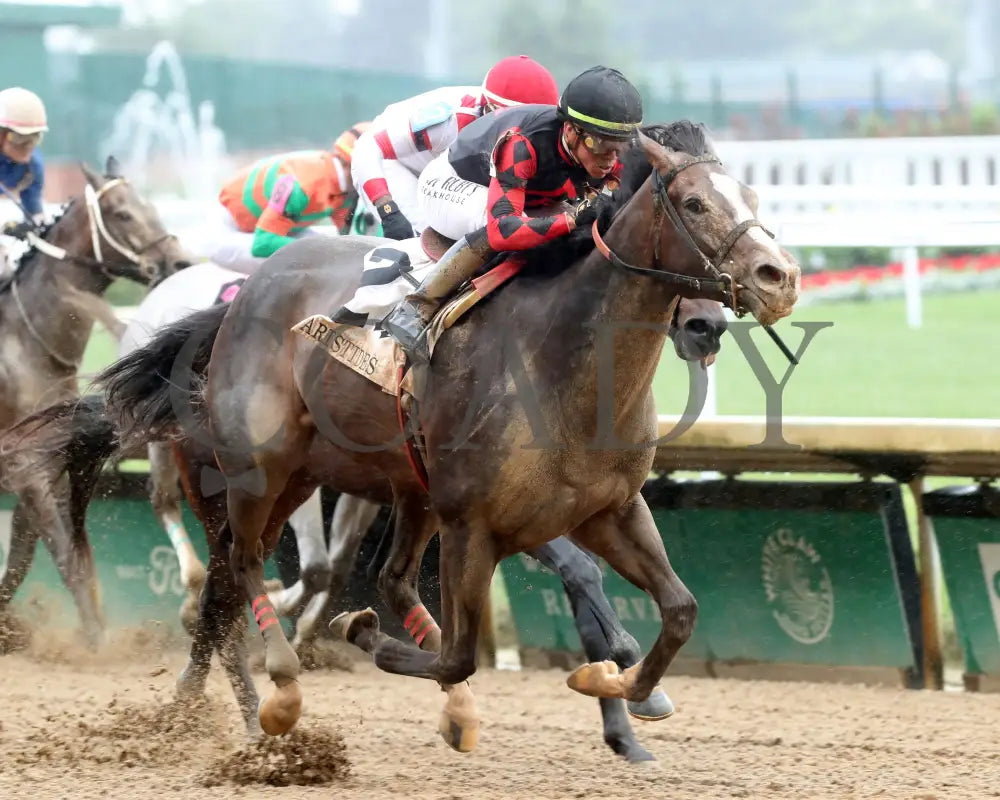 Closethegame Sugar - The Aristides 36Th Running 06-01-24 R07 Cd Finish 02 Churchill Downs