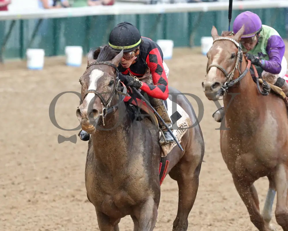 Closethegame Sugar - The Aristides 36Th Running 06-01-24 R07 Cd Inside Finish 01 Churchill Downs