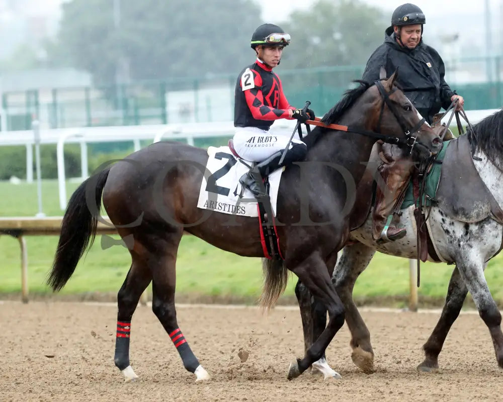 Closethegame Sugar - The Aristides 36Th Running 06-01-24 R07 Cd Post Parade 01 Churchill Downs