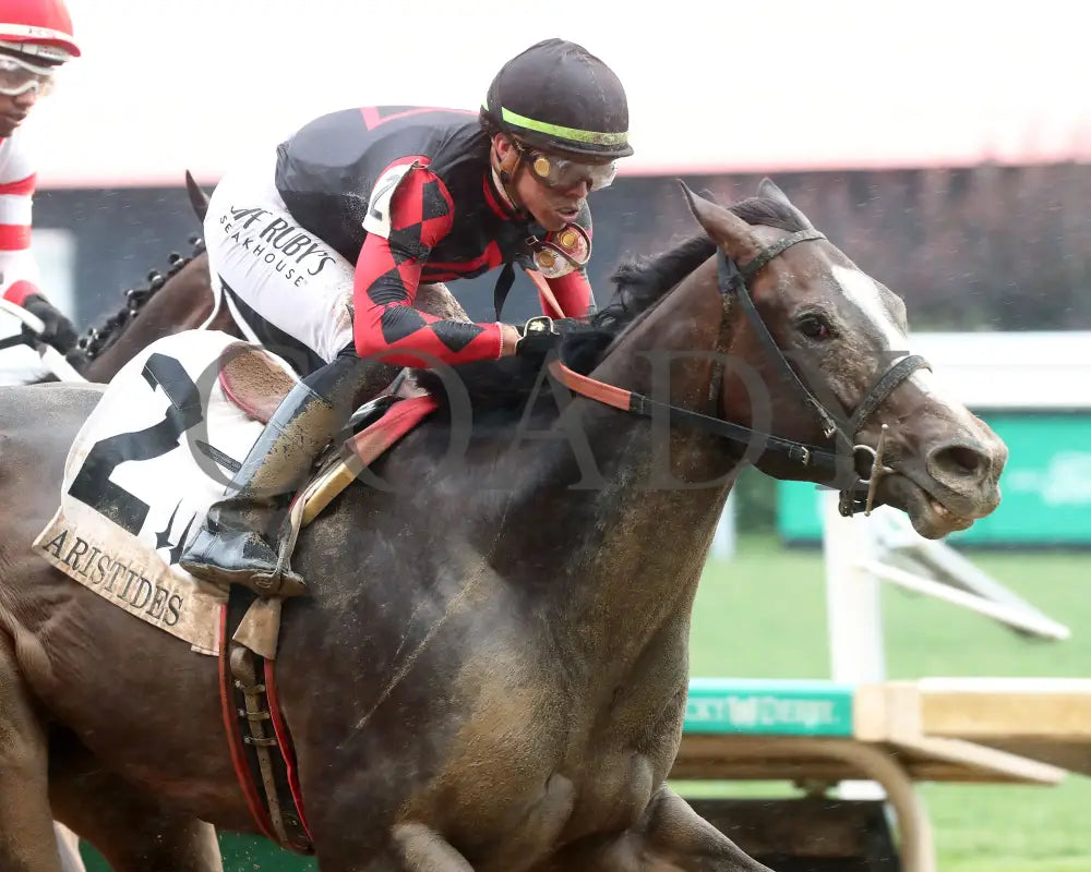 Closethegame Sugar - The Aristides 36Th Running 06-01-24 R07 Cd Tight Finish 02 Churchill Downs