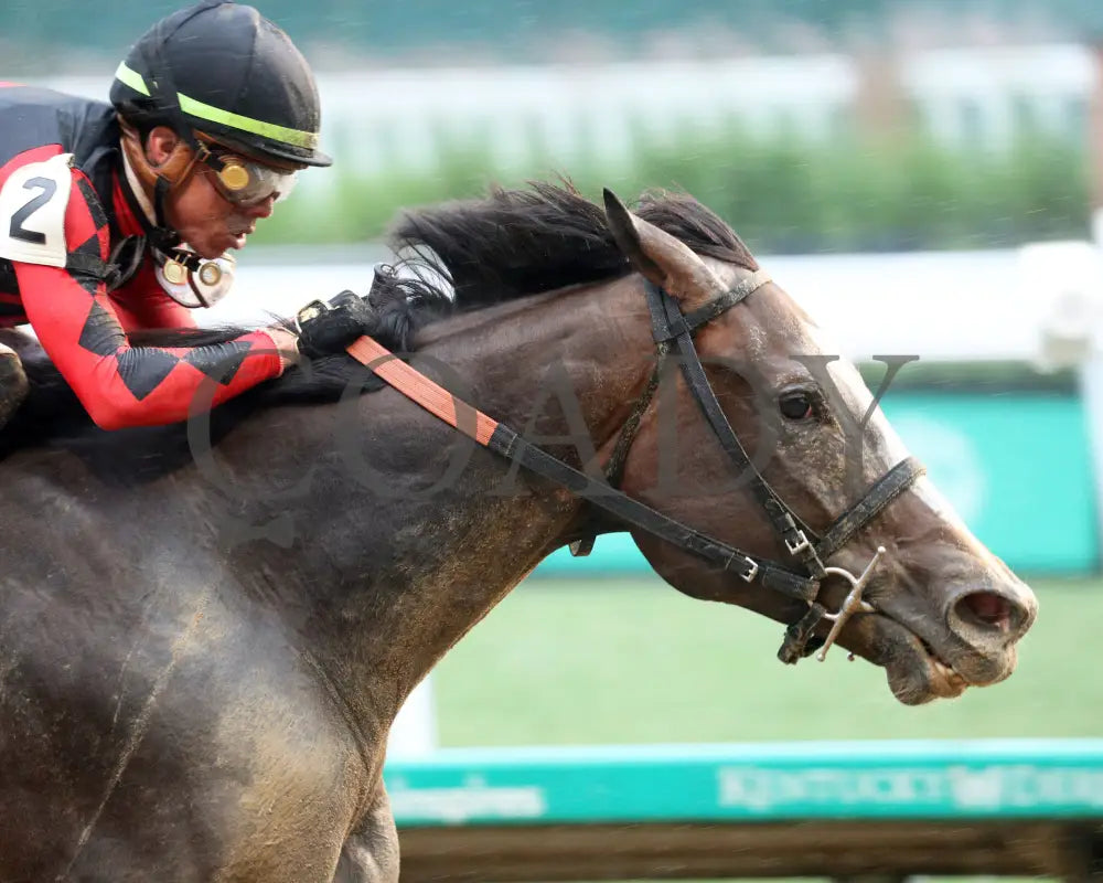 Closethegame Sugar - The Aristides 36Th Running 06-01-24 R07 Cd Tight Finish 01 Churchill Downs