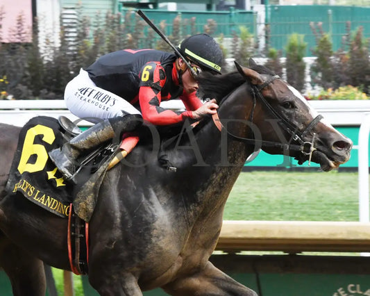 Closethegame Sugar - The Kelly’s Landing 06-29-24 R10 Cd Tight Finish 01 Churchill Downs