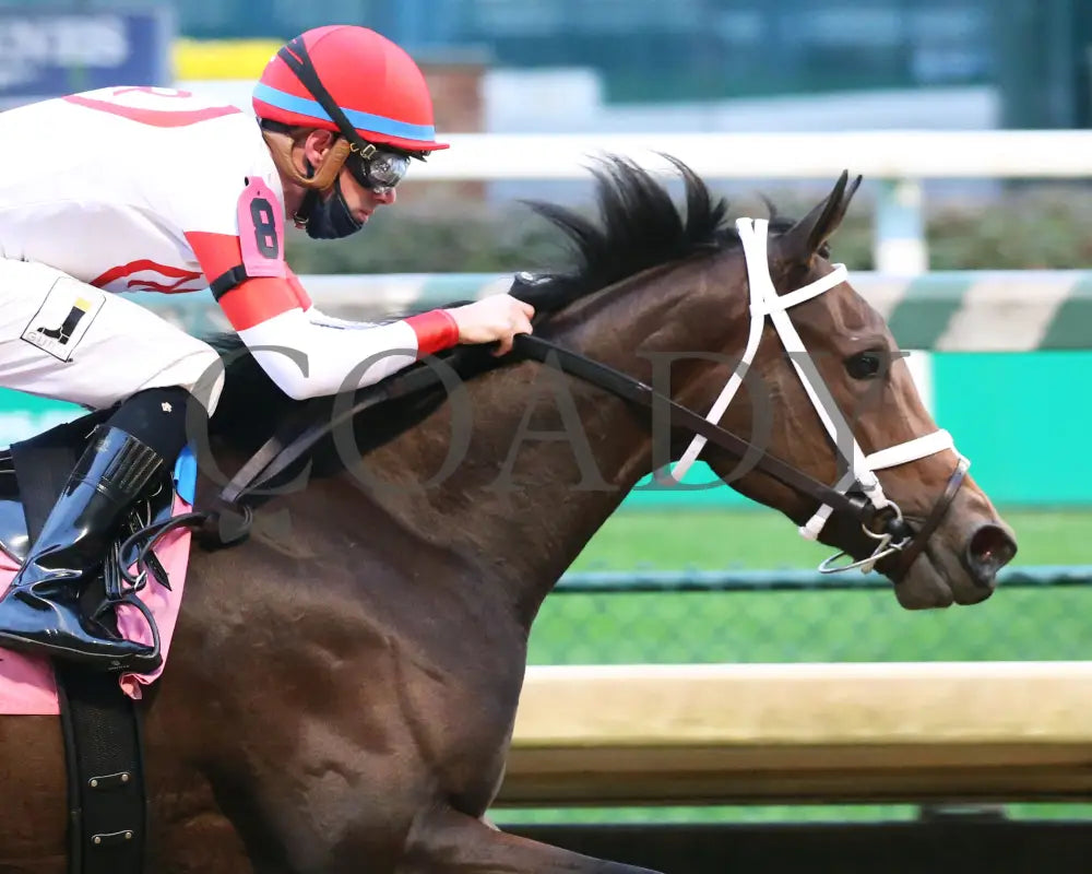 Coach - The Rags To Riches Overnight Stakes 8Th Running 10-25-20 R10 Cd Finish 03 Churchill Downs